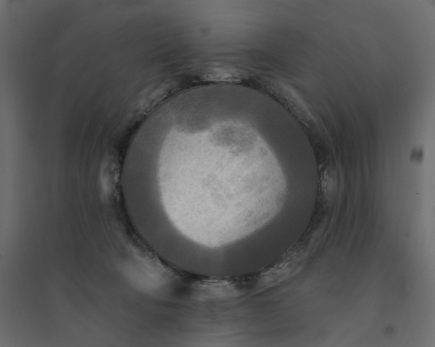 X0000094420322200711211416