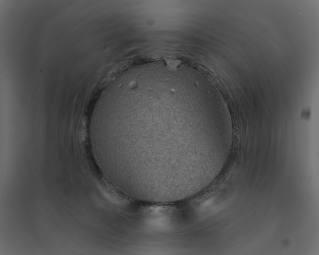 X0000094420323200711211416