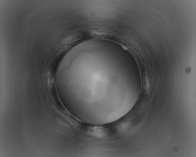 X0000094420324200711211416