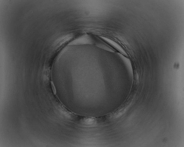 X0000094420325200711211416