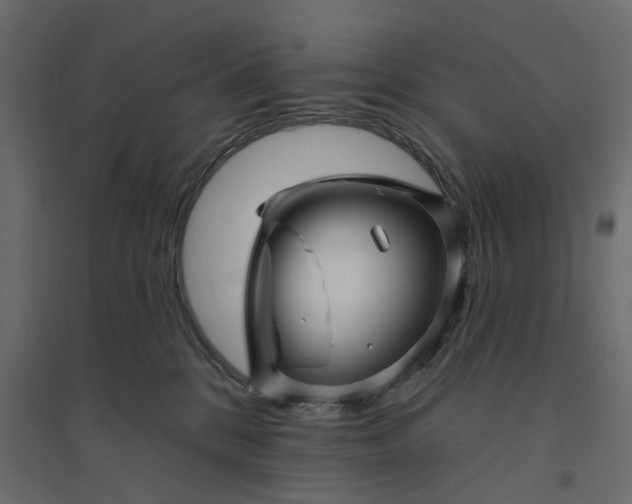 X0000094420328200711211416