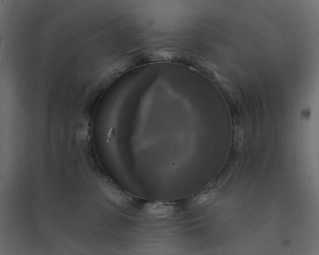 X0000094420331200711211416
