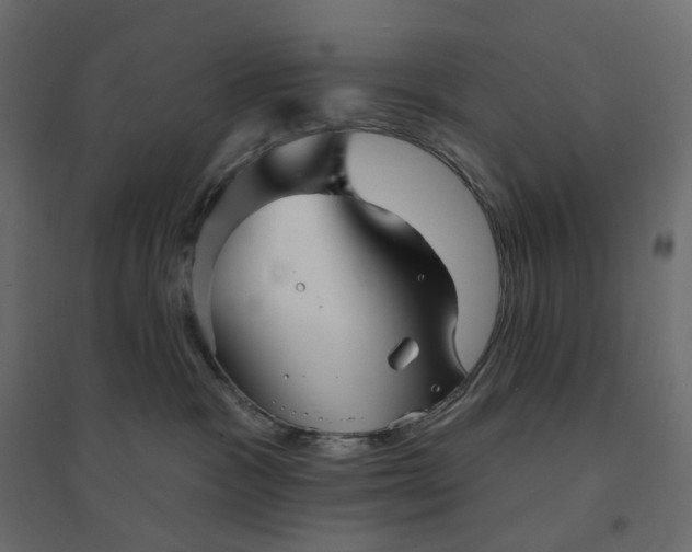 X0000094420333200711211416