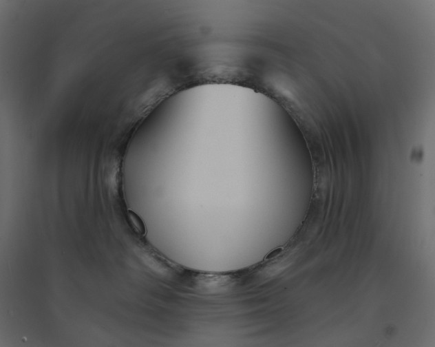 X0000094420334200711211416