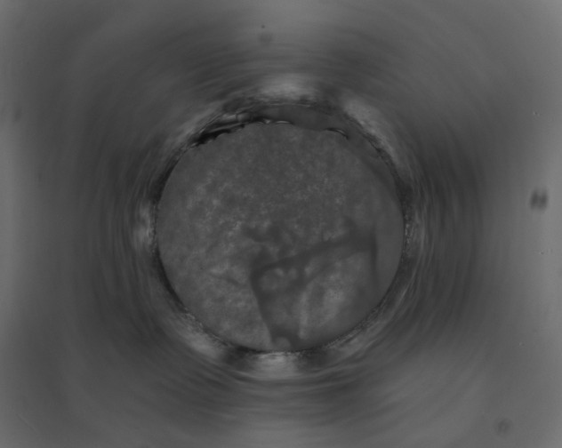 X0000094420335200711211416