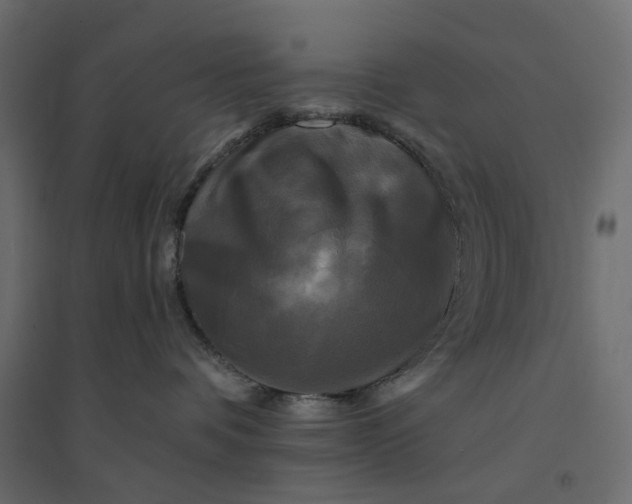 X0000094420336200711211416