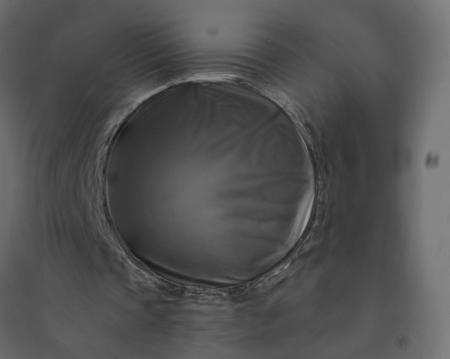 X0000094420337200711211415