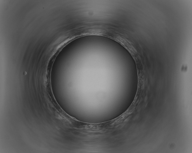 X0000094420338200711211415