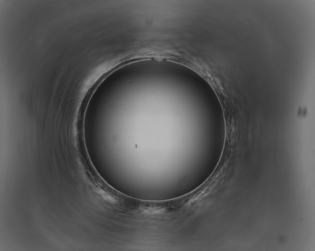 X0000094420340200711211415