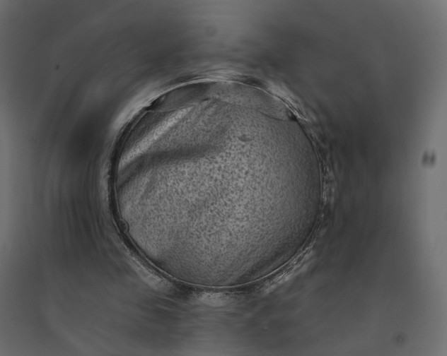 X0000094420341200711211415