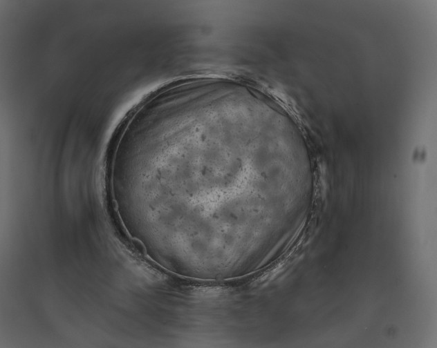 X0000094420342200711211415
