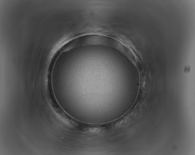 X0000094420344200711211415