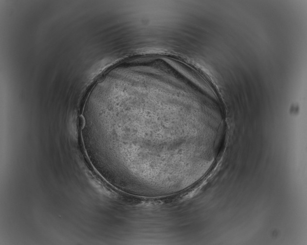 X0000094420345200711211415