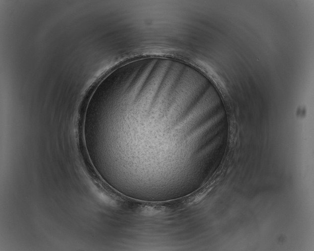 X0000094420346200711211415