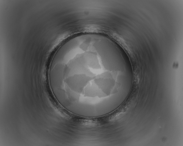 X0000094420347200711211415
