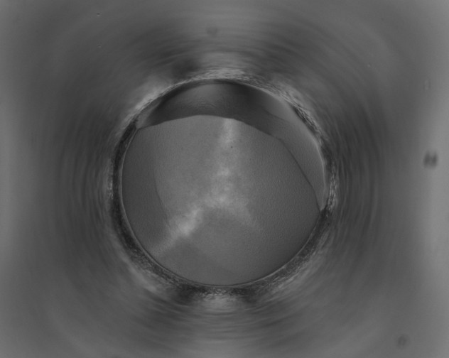 X0000094420348200711211415