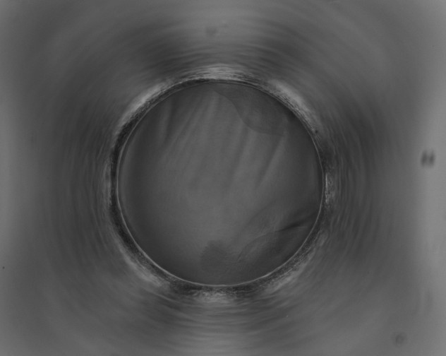 X0000094420349200711211415