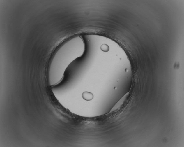 X0000094420352200711211415