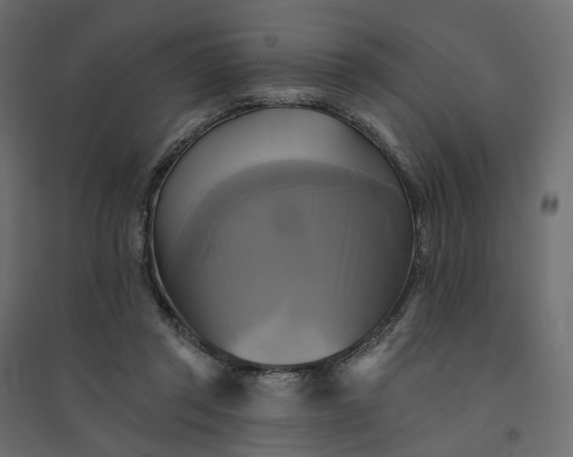 X0000094420357200711211416