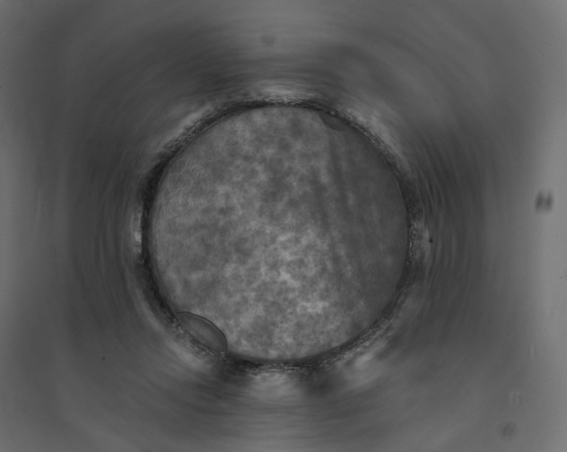 X0000094420358200711211416