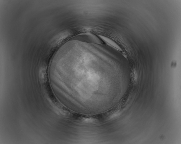 X0000094420360200711211416