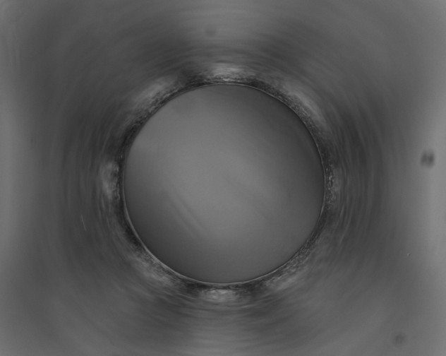 X0000094420361200711211416