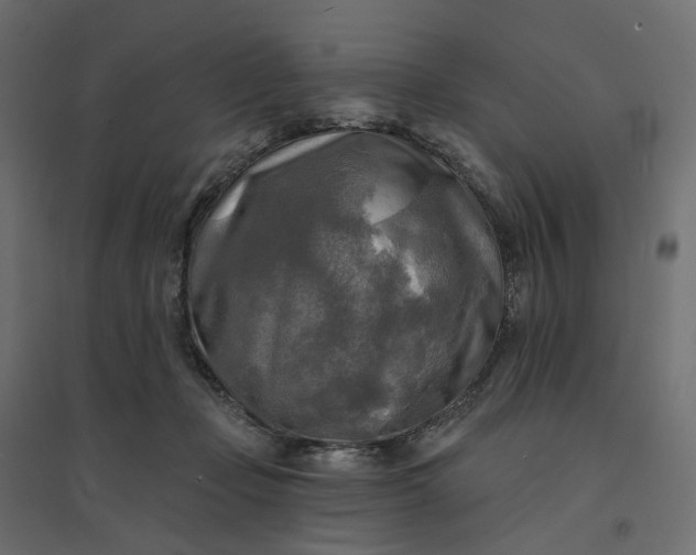 X0000094420365200711211416