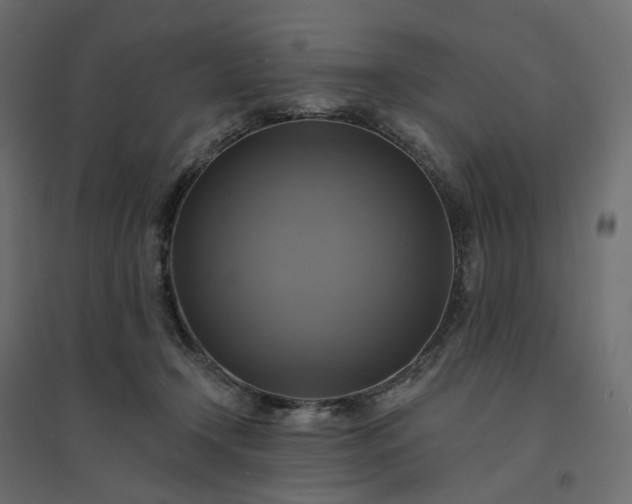 X0000094420366200711211416