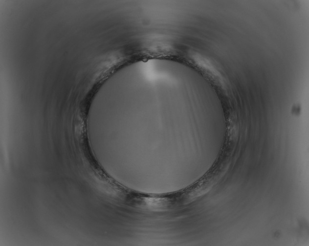 X0000094420371200711211416
