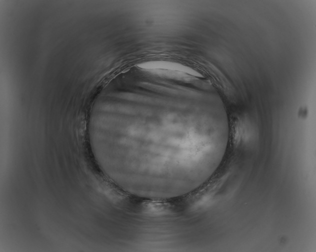 X0000094420372200711211416