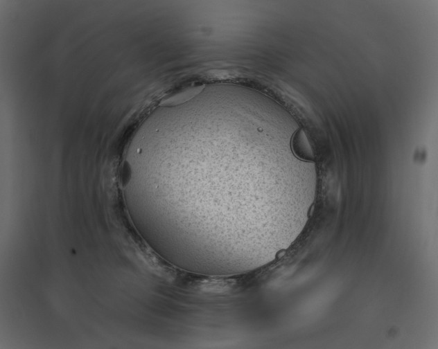 X0000094420373200711211416