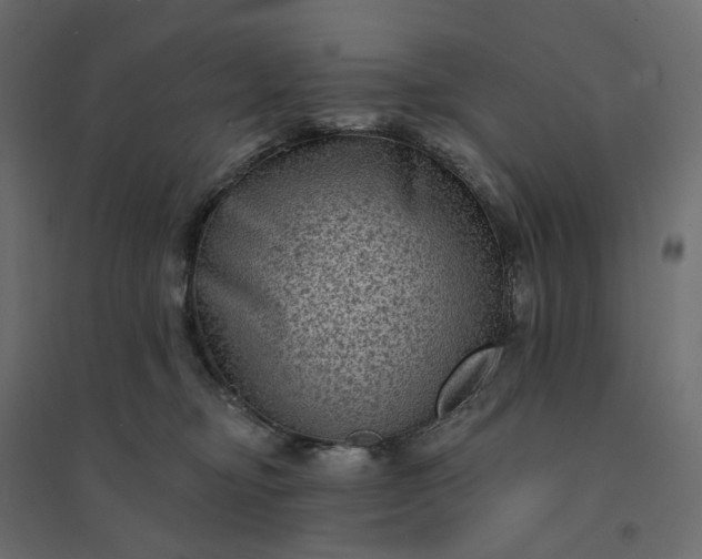 X0000094420374200711211416