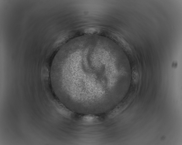 X0000094420375200711211416