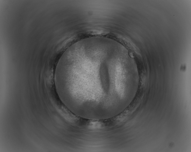X0000094420376200711211416