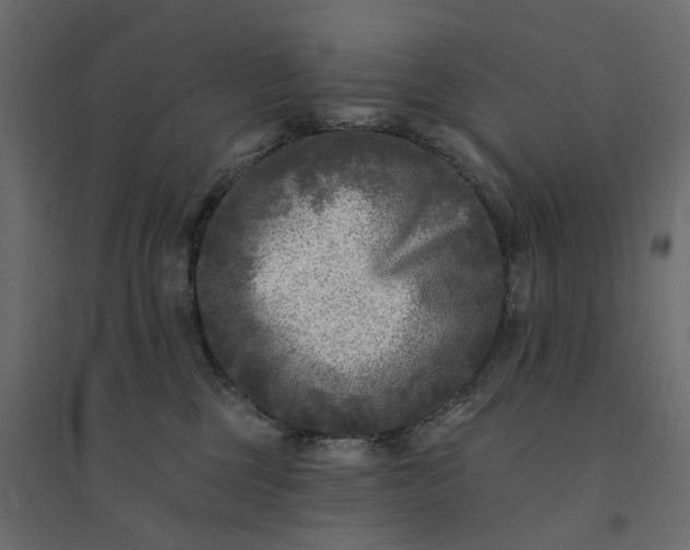 X0000094420377200711211416