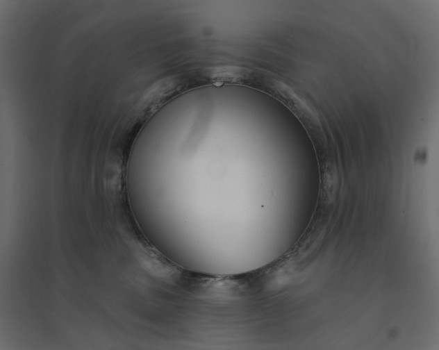 X0000094420379200711211416