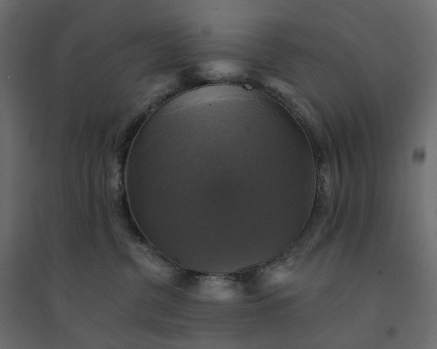 X0000094420380200711211416