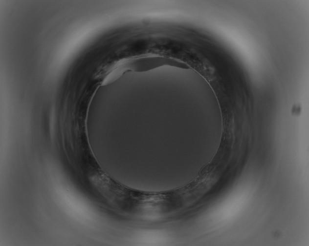 X0000094420382200711211416