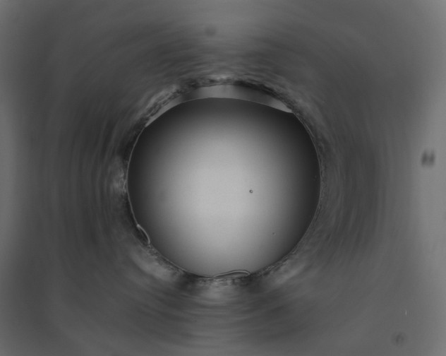 X0000094420384200711211416