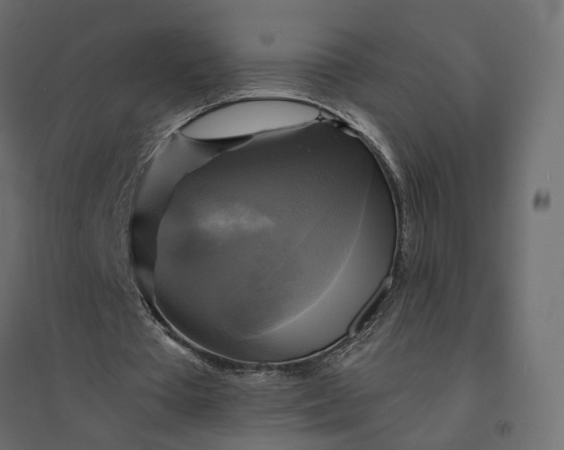 X0000094420385200711211415
