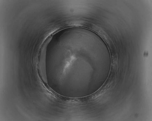 X0000094420386200711211415