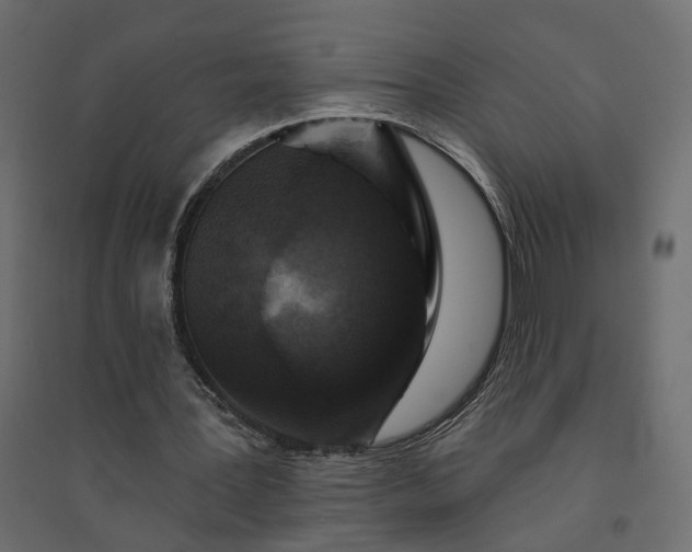 X0000094420387200711211415