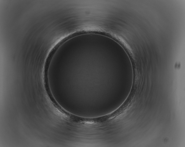 X0000094420391200711211415