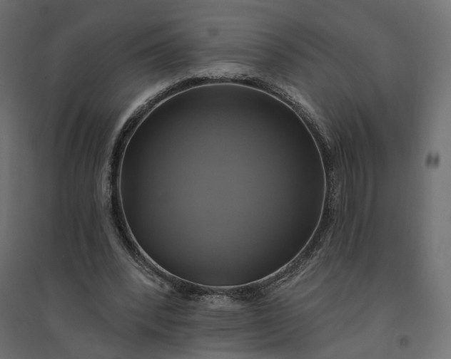 X0000094420392200711211415