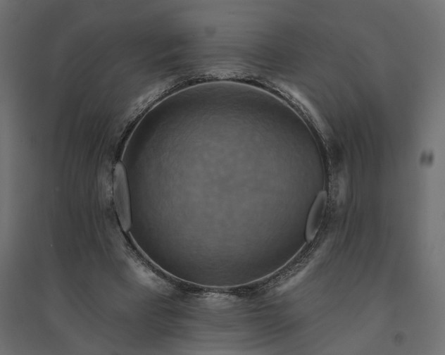 X0000094420393200711211415
