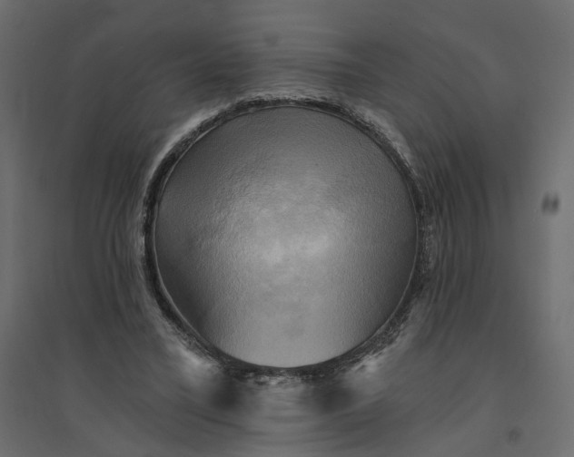 X0000094420395200711211415