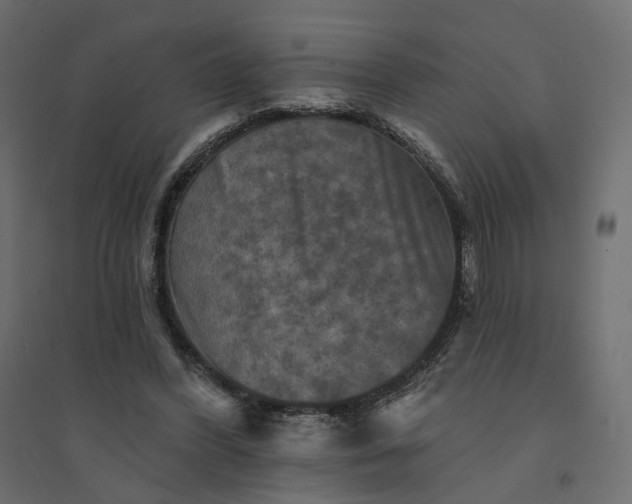 X0000094420396200711211415