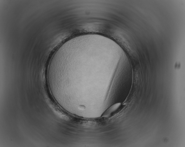 X0000094420398200711211415