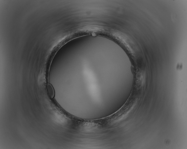 X0000094420399200711211415