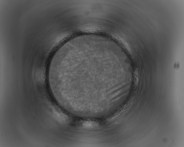 X0000094420400200711211415